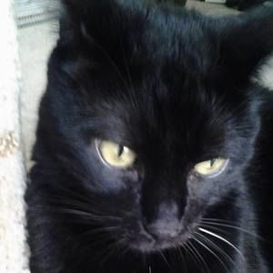 Meet your Posher, Etsuko